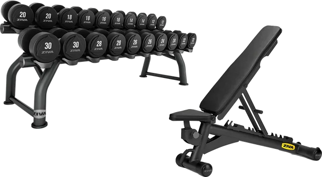 Stojan s jednoručkami ZIVA a polohovatelná lavice ZIVA F-I-D v 01.fitness