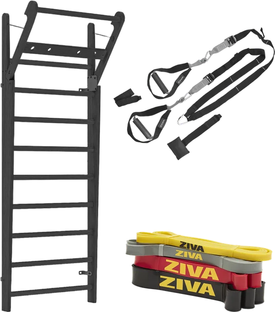 Závěsný systém ZIVA, dřevěné žebřiny NOHrD Shadow a odporové gumy ZIVA v 01.fitness