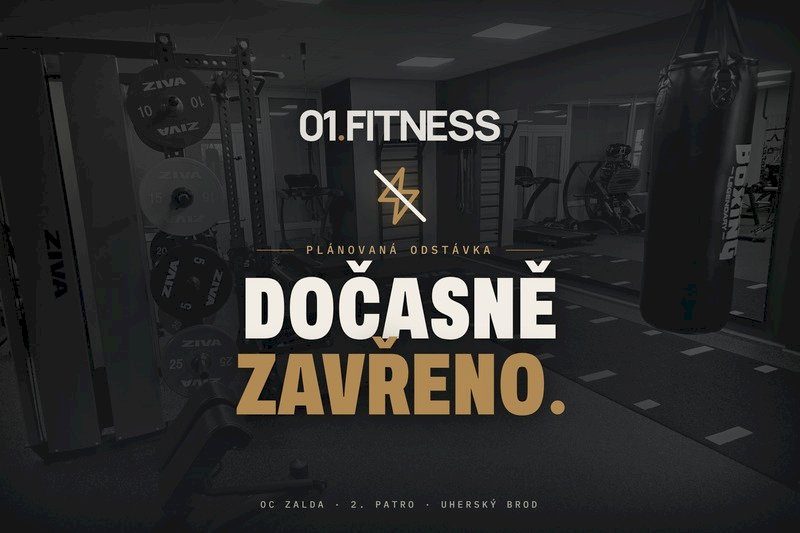 Odstávka